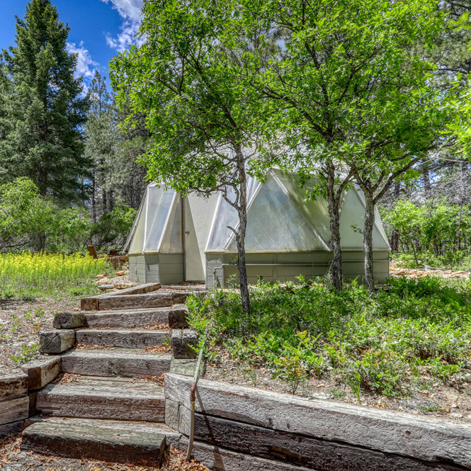 Geodesic Growing Dome